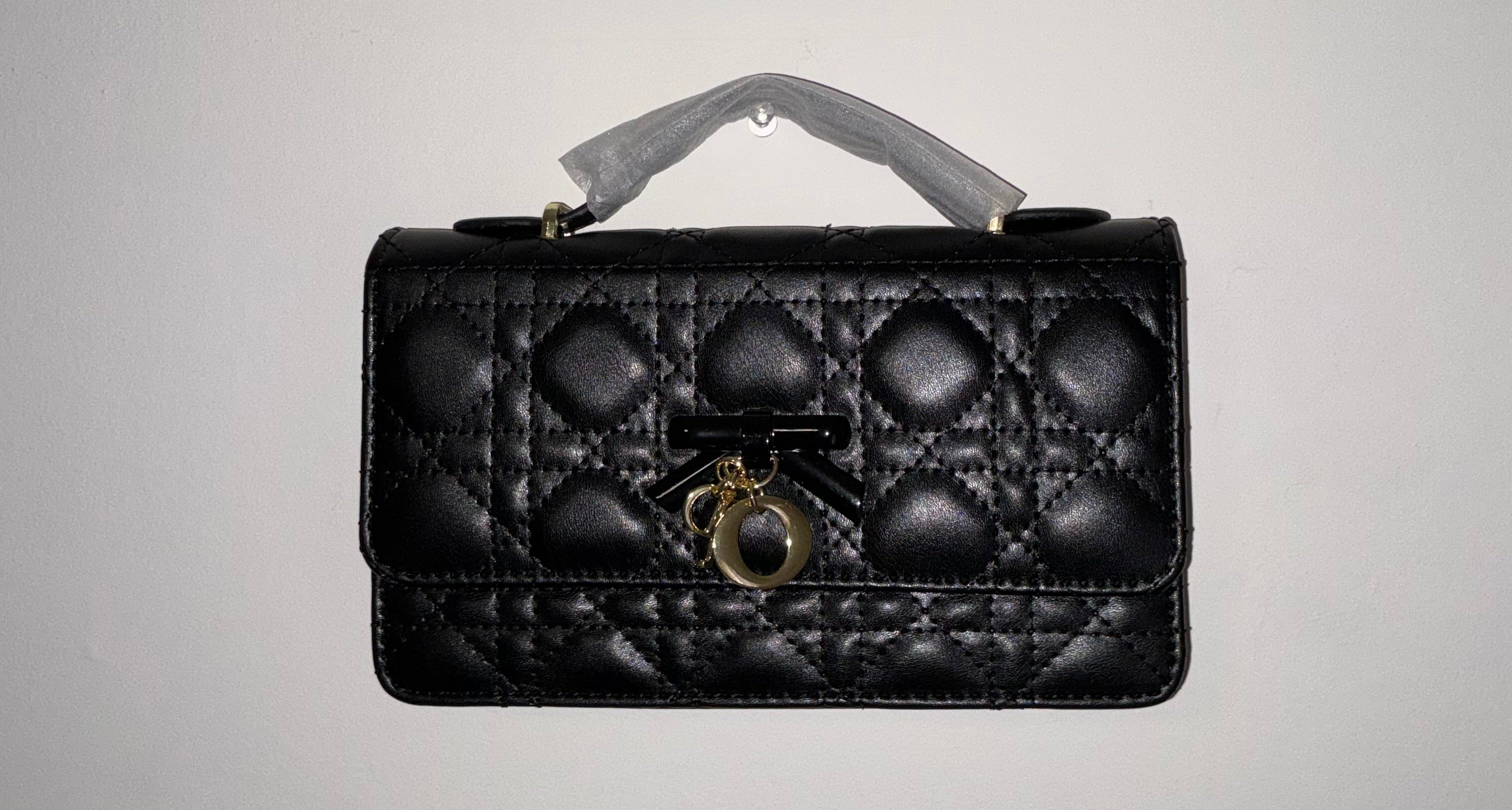 Carteras, Dior
