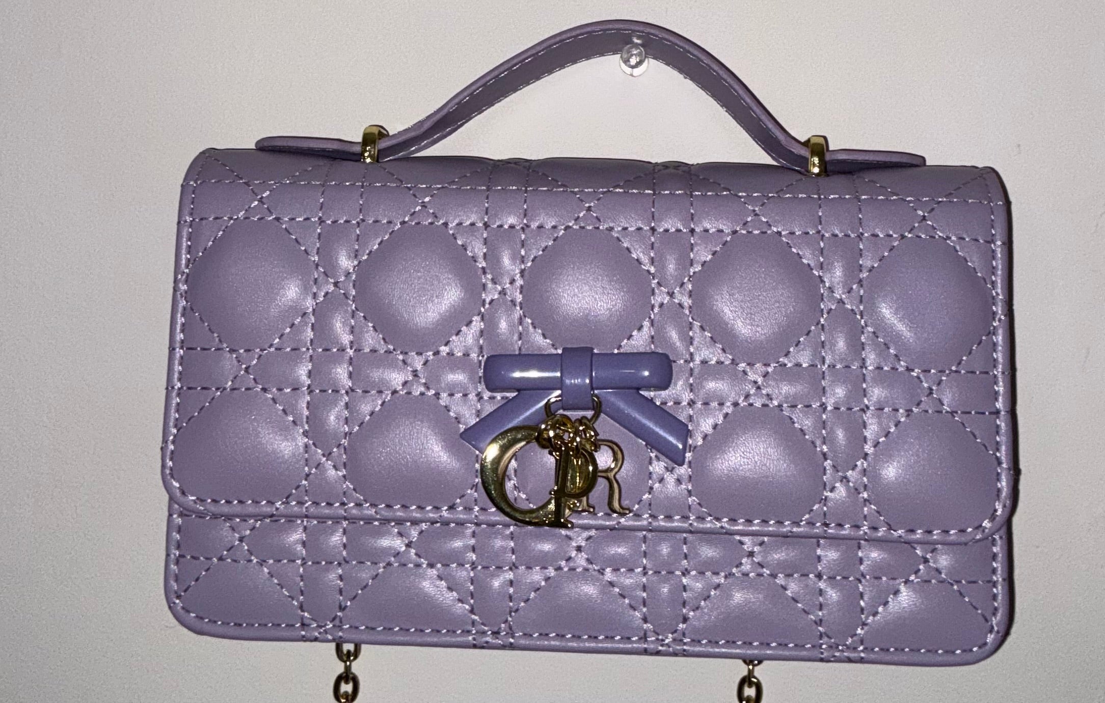 Carteras, Dior