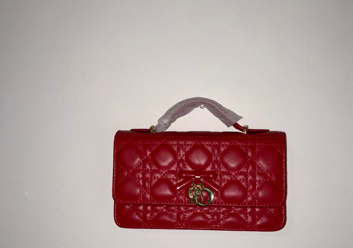 Carteras, Dior