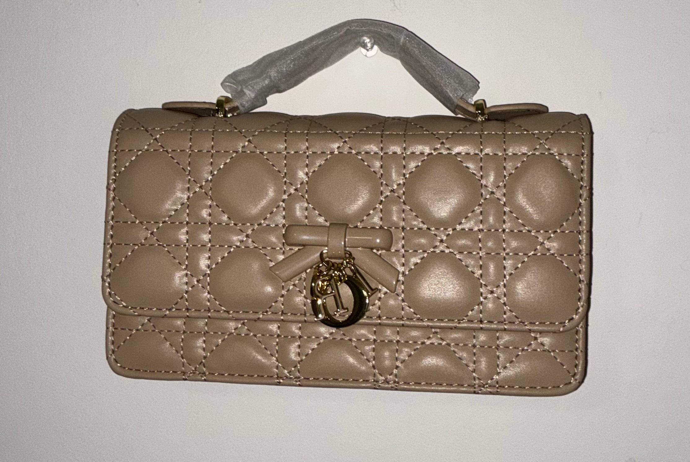Carteras, Dior
